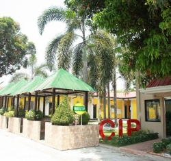 CIP (5)